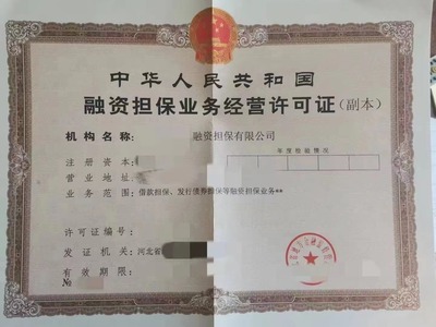 融资担保公司转让流程 转让融资担保公司?