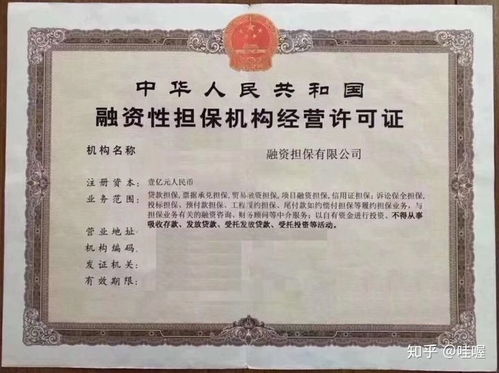 深圳市融资担保公司设立的对主发起人财务数据的要求