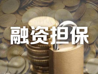 云南省103家融资担保机构不具备业务经营资格