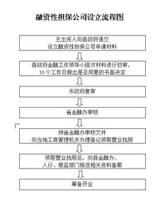 融资性担保公司设立